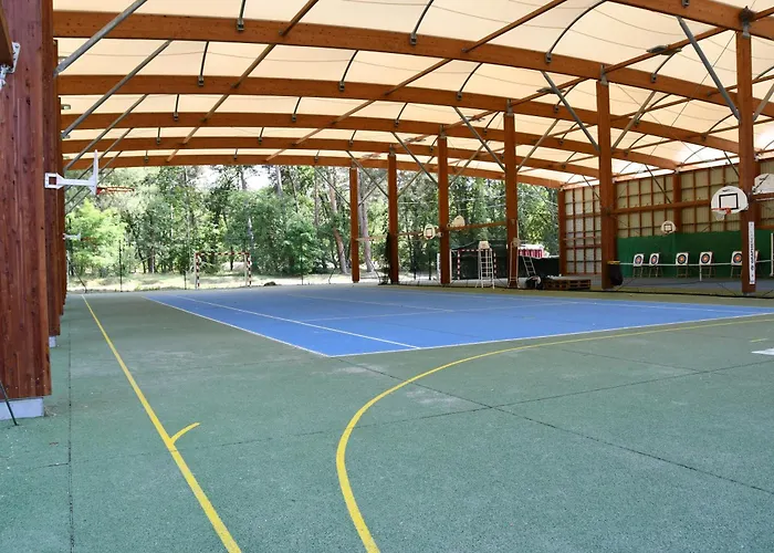 Mobil Ile De Loisirs De